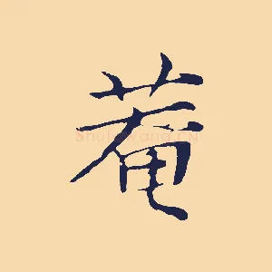菴