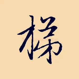 梯