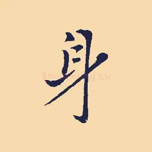身