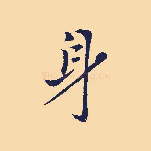 身