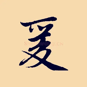 爰