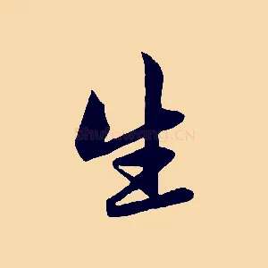 生
