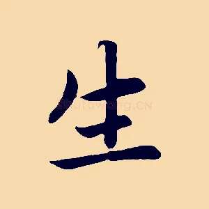生