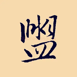 盥
