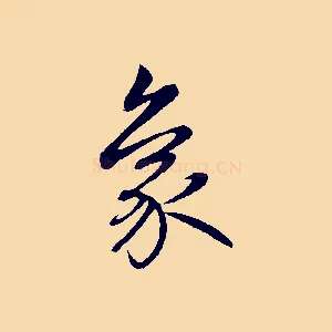 象