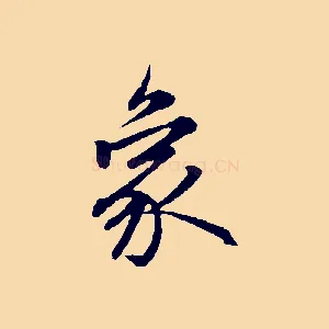 象