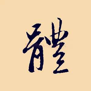 體