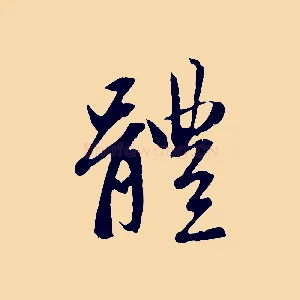 體