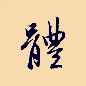 體