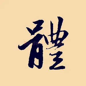 體