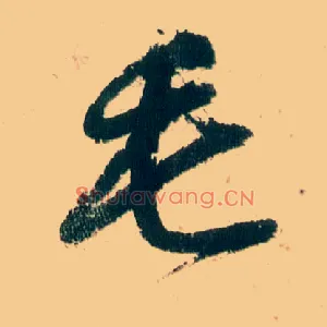 毛