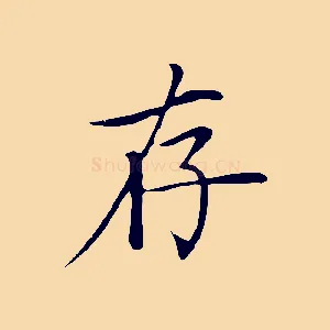 存