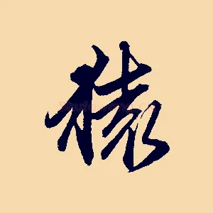 猿