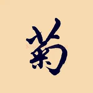 菊