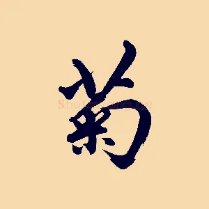 菊
