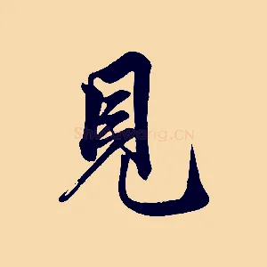 見