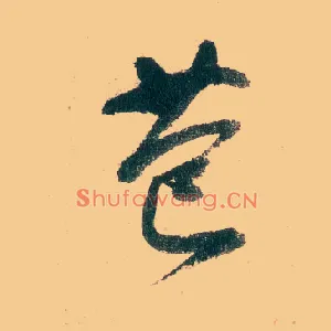 苞