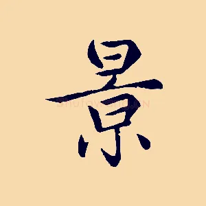 景