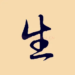 生