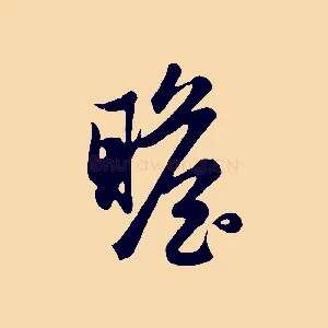 瞻