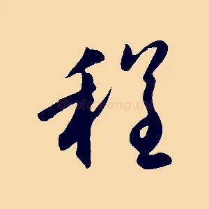 程