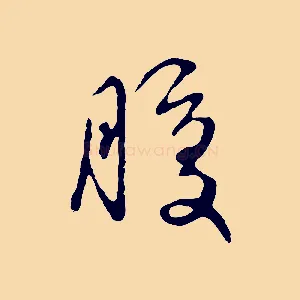 腹