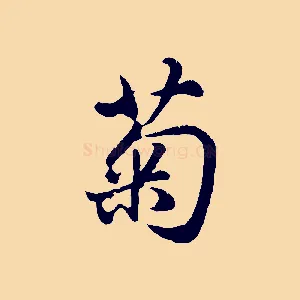 菊