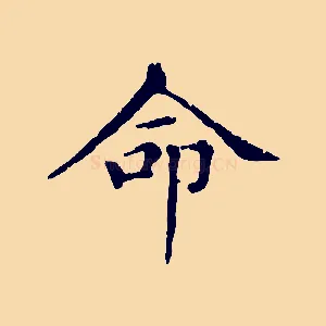 命