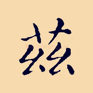 茲