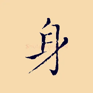 身
