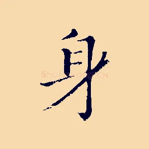 身
