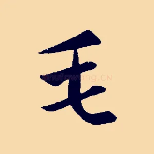 毛