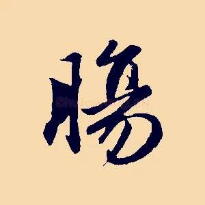 腸