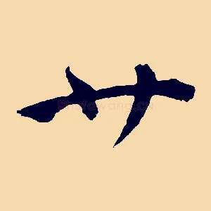 廿