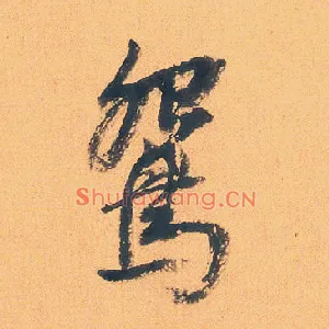 鸳