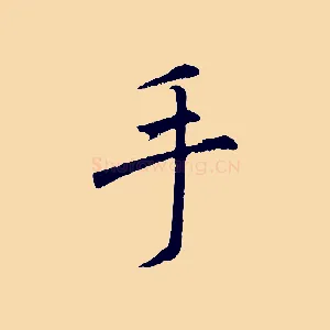 手