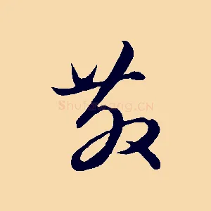 教