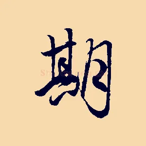 期