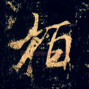 柏