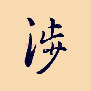 涉