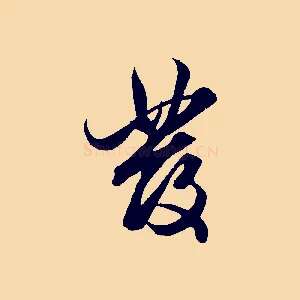 發