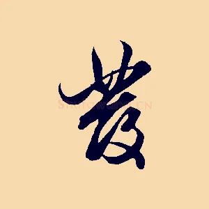 發