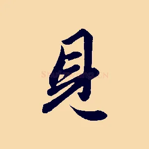 見