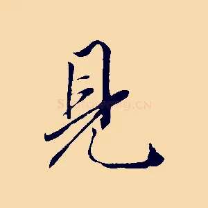 見