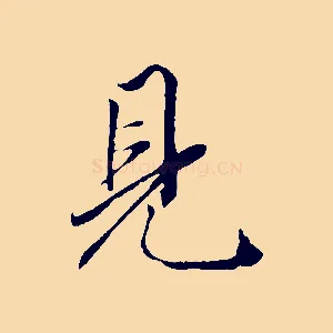 見