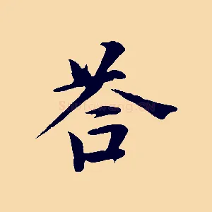 荅
