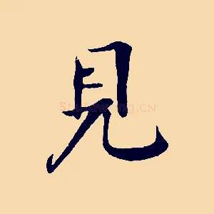 見