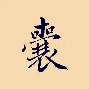 囊