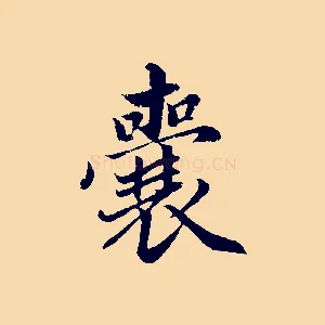 囊
