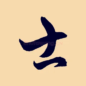 士